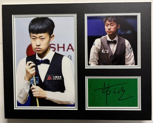 Profi snooker spieler chang - snooker,