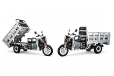 FreejoyerFW5 Elektro