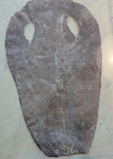 Große Haut Perlrochen  Natur roh getrocknet restaurieren Samurai-Schwert Rochen