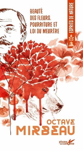 Blumenschönheit fäulnis und - blumenschönheit,
