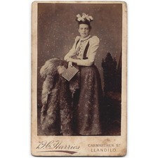 CDV Viktorianische Lady Carte de Visite von Harries of Llandilo