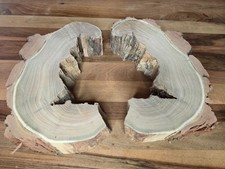 Baumscheiben Set  Robinie  Ø