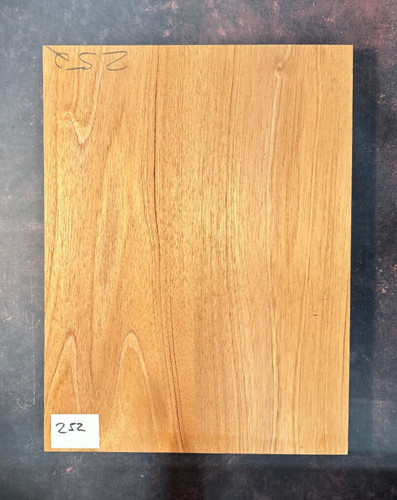 Cedro gitarrenkorpus - gitarrenkorpus,