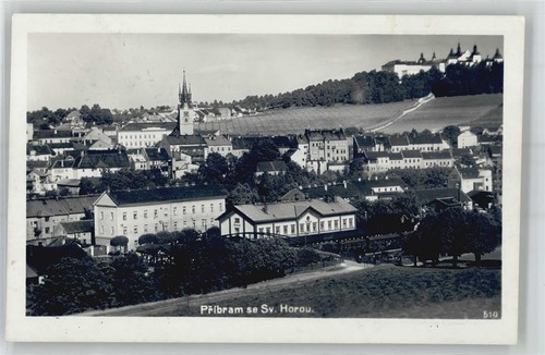 51308728 pribram - -,