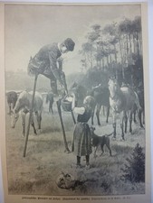 Orig. Holzstich - Pferde - Südfranzösichser Pferdehirt auf Stelzen. Originalzeic