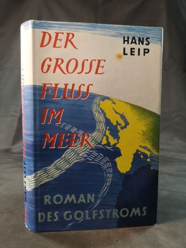 Der grosse fluss meer - fluss, im