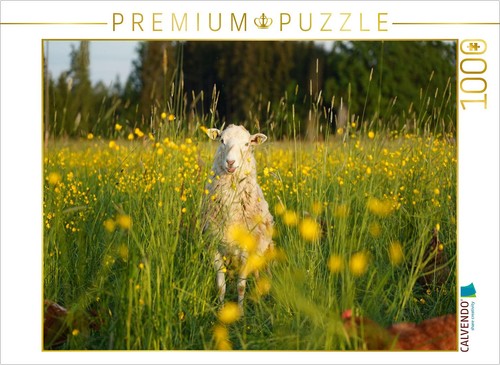 Calvendo puzzle schaf 1000 - calvendo,