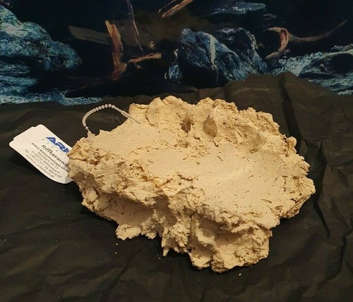 Arka muschelhalter - muschelhalter,