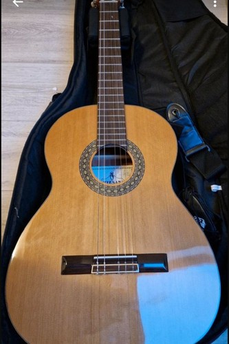 Gitarre