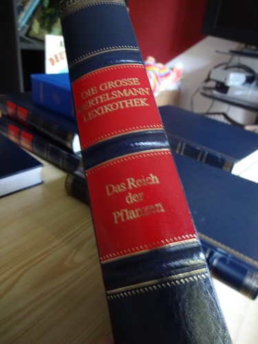 Das reich der - reich,