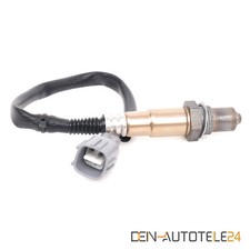 Diagnosesonde nach kat - diagnosesonde,