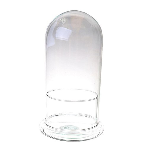 Inna glas glashaube - inna-glas,