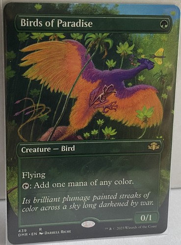 Birds paradise 439 - birds,