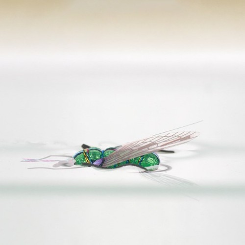 Angeln fliegen stück - fliegen, 2