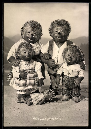Igel mecki und seine - igel,