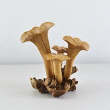 Handgeschnitzte Holzpilze