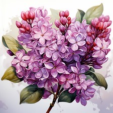 Wandbild Blumen Flieder Deko