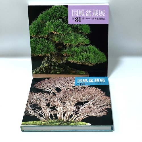 Kokufu bonsai ausstellung - kokufu,