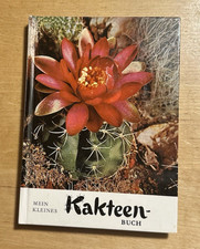 Kakteen - Mein kleines Kakteen