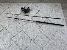 WFT Big Cat spin Cat combo Rute, Rolle von Rioby  und 2 Schnüre mono,braid