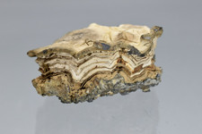 Schalenblende, Sphalerit, La Calamine, Lüttich, Wallonien, Belgien