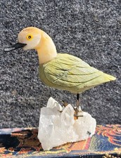 Edelsteinvogel, Ente auf