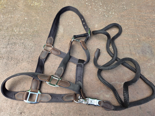Nylonhalfter mit lederbesatz - nylonhalfter,