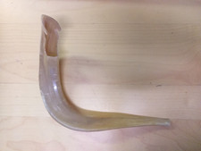 Widderhorn Schofar, 1 von Älteste Musikinstrumenten, für Jüdische Feste