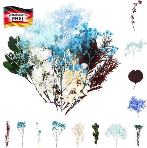 Trockenblumen bastelset für - trockenblumen,