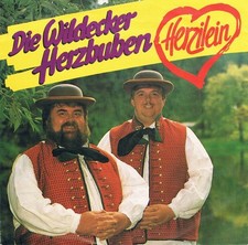 Die Wildecker Herzbuben -
