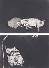 Thomas John Kunstakademie Stuttgart Aquatinta Radierung Porträt Kopf Katze (46)