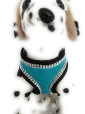 Hundegeschirr türkis schwarz