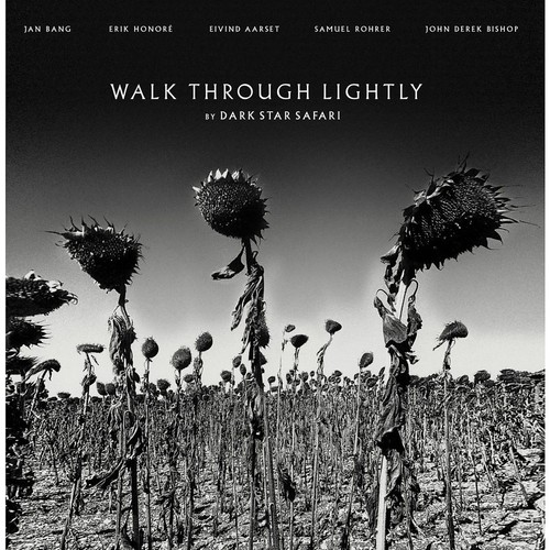 Dark star safari - dark, walk