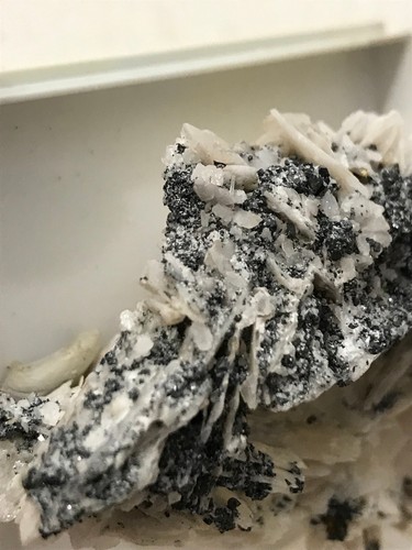Mineralien besonderheit - mm,