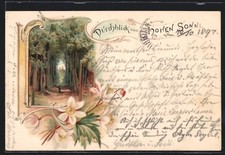 Lithographie Hohe Sonne /Eisenach, Durchblick von Hohen Sonne 1897 