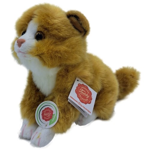 Teddy hermann katze - teddy,