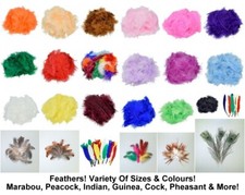 Federn Marabu Pfauenfeder