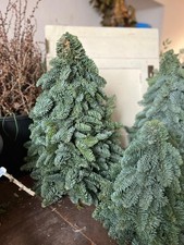 Handgefertigte Deko-Bäume aus echtem Naturmaterial (30-60 cm)