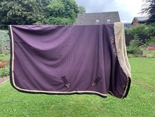 Eskadron, Stalldecke, Gr. 155, Fliegenohren