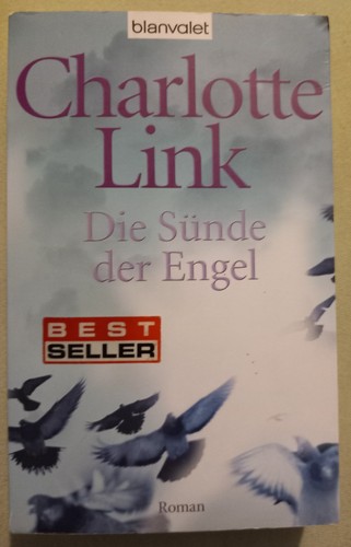 Die sünde der - -, roman