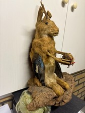 Wolpertinger Präparat, bayerisches Fabelwesen, Hase auf Pilzstamm