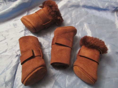 Hunde winter schuhe - hunde,