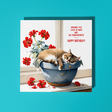 Handgefertigte lustige Katze