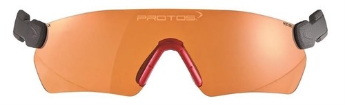Protos integral schutzbrille - protos®,
