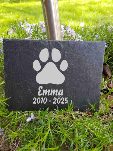 Pfote katze hund grabschmuck - katze,