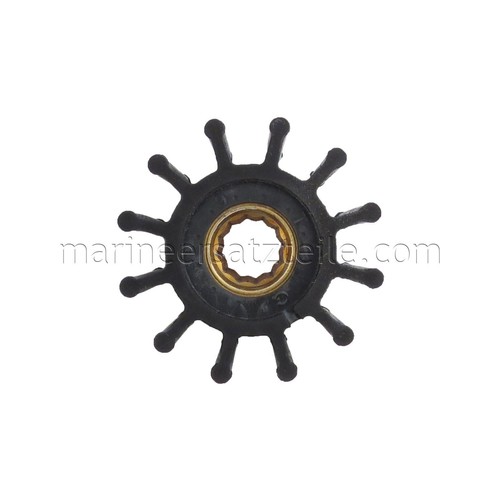 Johnson pump 812bt - johnson, 09-812bt-1
