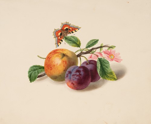 Barker - w., (1807-1862)