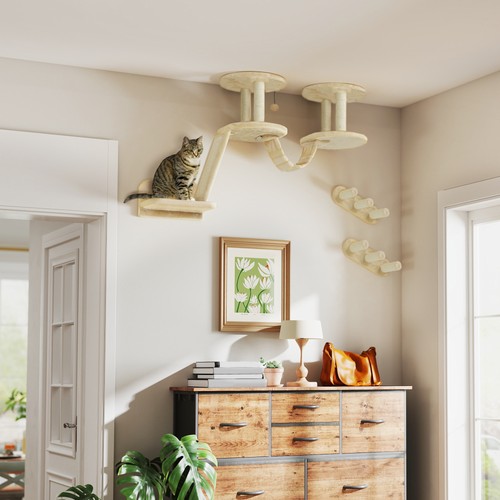 Katzen kletterwand set - katzen,