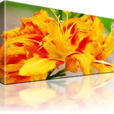 Blume Tulpe Pflanzen Bild Bilder Leinwand Gerahmt Wandbild Kunstdruck