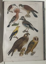 Bechstein NATURGESCHICHTE HOF